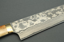 Load image into Gallery viewer, Takeshi Saji 31-Layer VG10 Nickel Damascus 270mm Gyuto Stag Handle with Saya TS-2